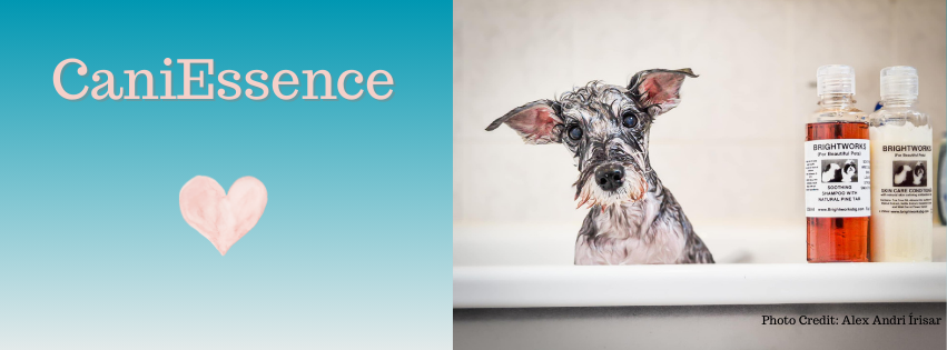 CaniEssence-Logo