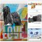 Preview: Tibetan Terrier Desk Calendar 2026 – Art Edition