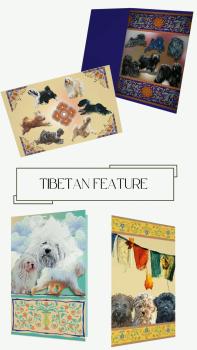 Tibetan Feature / 2026 Art Card Edition