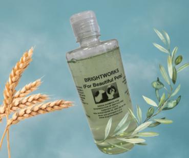 GREEN SHAMPOO – Regenerationspflege