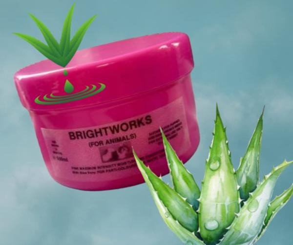 PINK EXTREME CONDITIONER – Schutz & Pflege