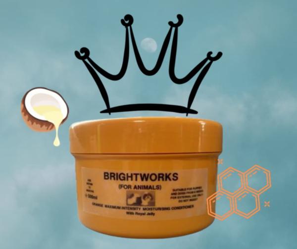 ORANGE EXTREME CONDITIONER – Reparaturpflege