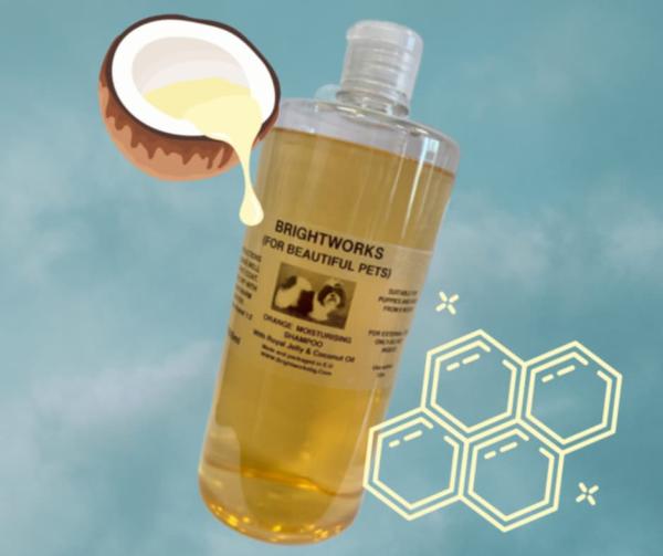 ORANGE SHAMPOO – Tiefenreinigung