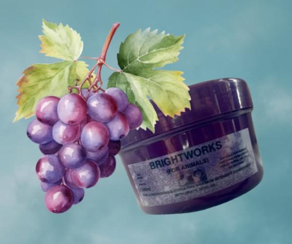 PURPLE EXTREME CONDITIONER – Glanz & Tiefenpflege