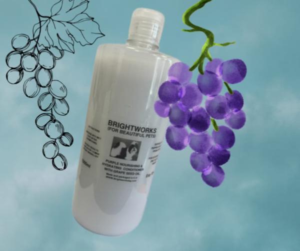 PURPLE CONDITIONER – Feuchtigkeit & Glanz