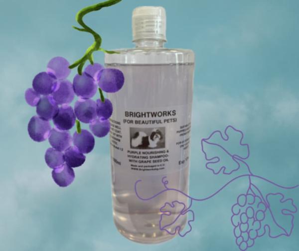 PURPLE SHAMPOO – Glanz & Feuchtigkeit