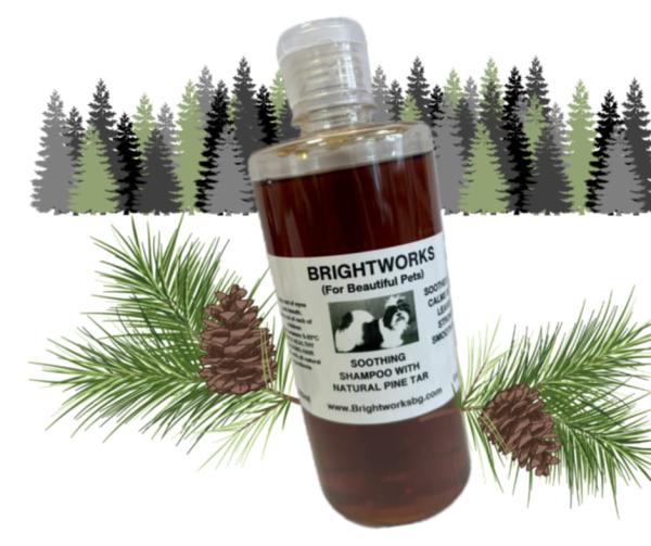 Spezialshampoo mit hochwertigem Kiefernteer