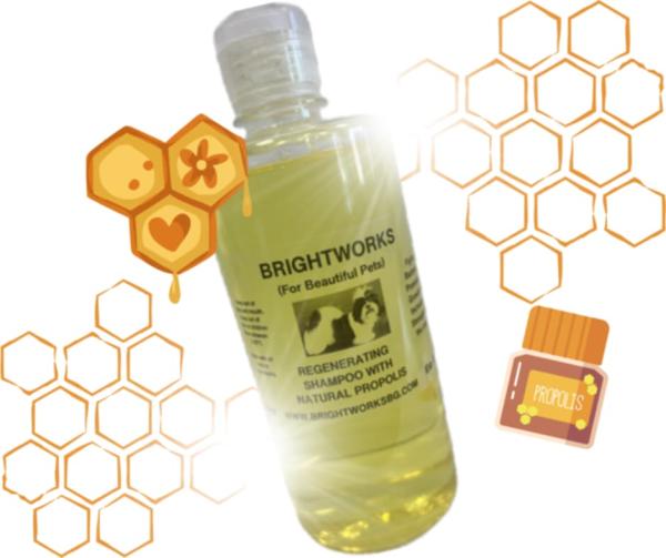 Natural Propolis Shampoo