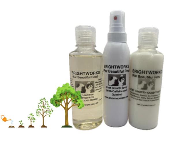 Fellwachstums-Boost Set - Maxi