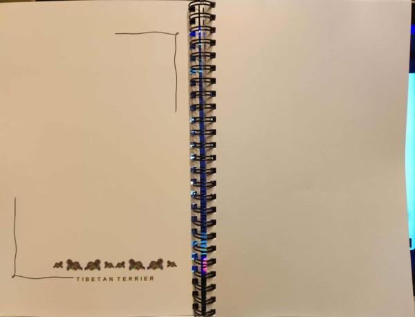 Journal - LOVE Tibetan Terrier