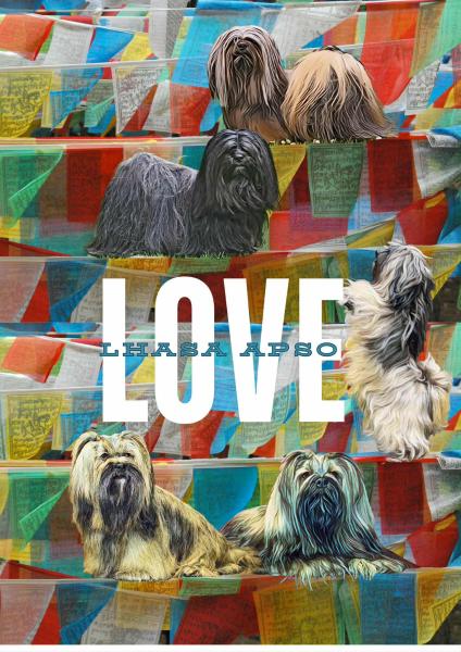 LOVE Lhasa Apso – Spiral-Planer