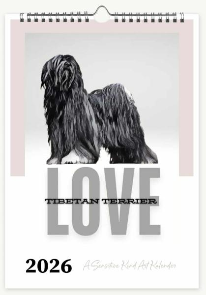 Art-Kalender mit Shop-Gutscheinen