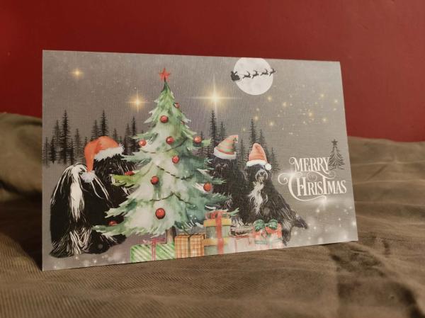 Unter dem Weihnachtsstern