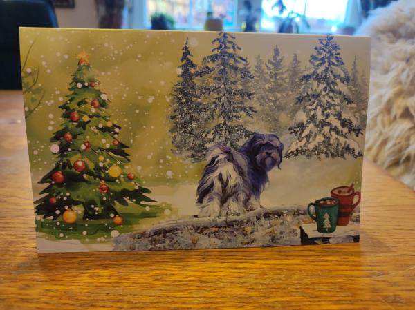 Winterwald & Lichterglanz