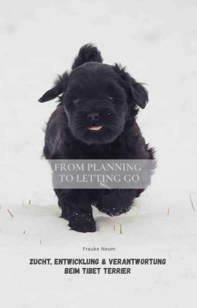 Zucht, Entwicklung und Verantwortung beim Tibet Terrier