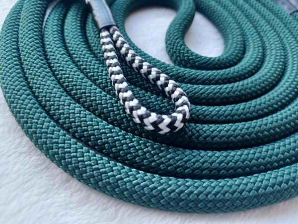 Waldpfad – Lime & Forest Edition