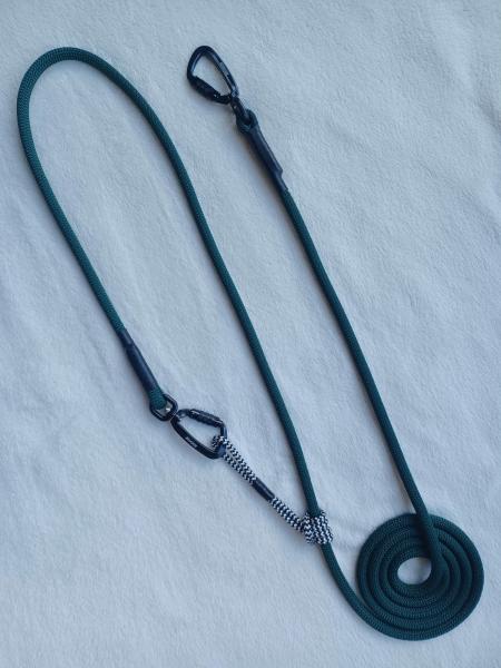 Waldpfad – Lime & Forest Edition