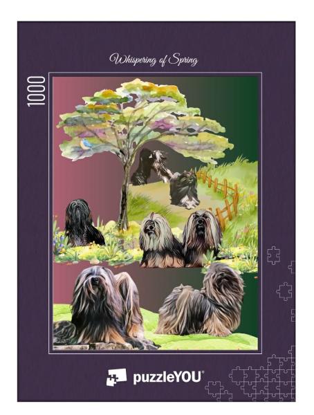 Whispering of Spring - Lhasa Apso