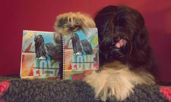 Kalender & Journal Set