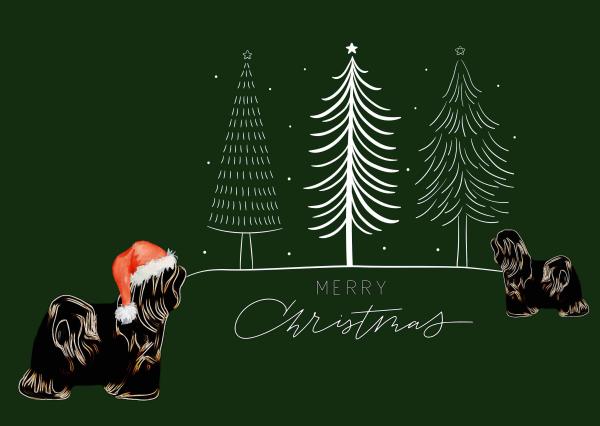 Weihnachtskarten mit Tibet-Terrier-Motiv (3er-Set, klassisch)