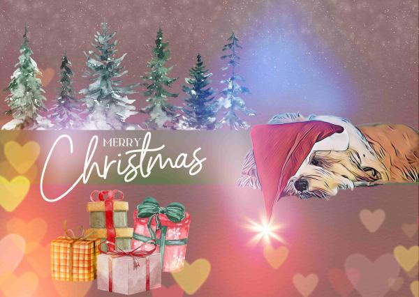 Weihnachtskarten mit Tibet-Terrier-Motiv (3er-Set, klassisch)